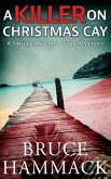 A Killer On Christmas Cay (A Smiley and McBlythe Mystery, #11) (eBook, ePUB)