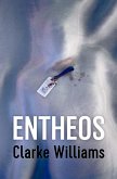 Entheos (eBook, ePUB)