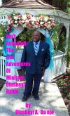 I Ain't Ashamed:The Life Adventures Of Minister Olusheyi Banjo (eBook, ePUB)