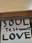 Soul Testament: Love (eBook, ePUB)