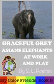 Graceful Grey, Asian Elephants at Work and Play (My Color Friends, #8) (eBook, ePUB)