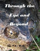 Through the Eye and Beyond (eBook, ePUB) Through the Eye and Beyond (eBook, ePUB)