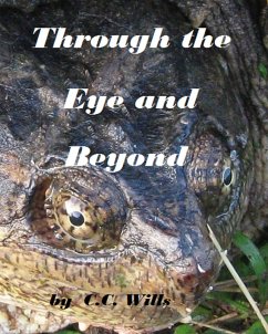 Through the Eye and Beyond (eBook, ePUB) - Wills, C. C.