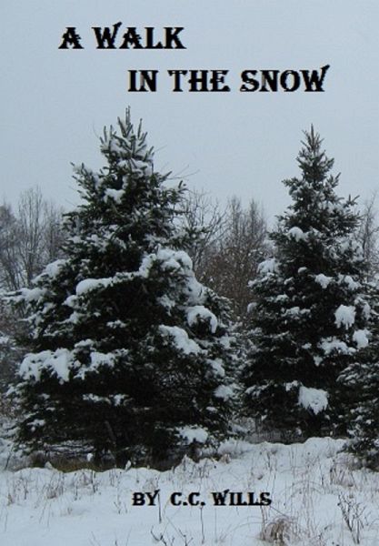 A Walk In The Snow (eBook, ePUB) A Walk In The Snow (eBook, ePUB)