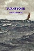 Turnstone (The Greatest Cape, #4) (eBook, ePUB) Turnstone (The Greatest Cape, #4) (eBook, ePUB)