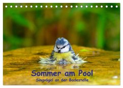 Sommer am Pool - Singvögel an der Badestelle (Tischkalender 2025 DIN A5 quer), CALVENDO Monatskalender