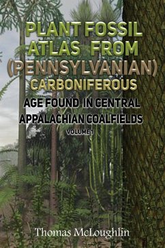 Plant Fossil Atlas From (Pennsylvanian) Carboniferous Age Found in Central Appalachian Coalfields Volume 1 - Mcloughlin, Thomas