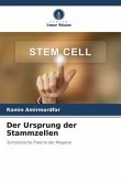 Der Ursprung der Stammzellen