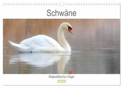 Schwäne Majestätische Vögel (Wandkalender 2025 DIN A3 quer), CALVENDO Monatskalender