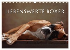 Liebenswerte Boxer (Wandkalender 2025 DIN A3 quer), CALVENDO Monatskalender