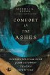 Comfort in the Ashes - Bild 1