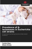 Prevalence of ¿-lactamases in Escherichia coli strains