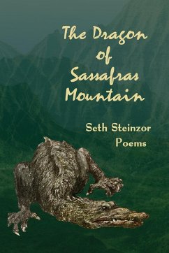 The Dragon of Sassafras Mountain - Steinzor, Seth