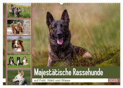 Mäjestätische Rassehunde auf Feld, Wald und Wiese (Wandkalender 2025 DIN A2 quer), CALVENDO Monatskalender - Calvendo;Verena Scholze, Fotodesign