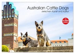 Australian Cattle Dogs zwischen Kunst und Kultur (Wandkalender 2025 DIN A2 quer), CALVENDO Monatskalender