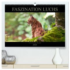 Faszination Luchs (hochwertiger Premium Wandkalender 2025 DIN A2 quer), Kunstdruck in Hochglanz