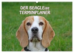 DER BEAGLEige TERMINPLANER (Wandkalender 2025 DIN A2 quer), CALVENDO Monatskalender - Calvendo;Lindert-Rottke, Antje