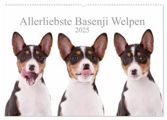 Allerliebste Basenji Welpen 2025 (Wandkalender 2025 DIN A2 quer), CALVENDO Monatskalender