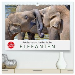 Asiatische und afrikanische Elefanten (hochwertiger Premium Wandkalender 2025 DIN A2 quer), Kunstdruck in Hochglanz - Calvendo;Stanzer, Elisabeth