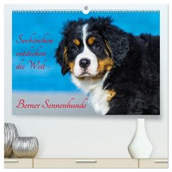 Seebärchen entdecken die Welt - Berner Sennenhunde (hochwertiger Premium Wandkalender 2025 DIN A2 quer), Kunstdruck in Hochglanz