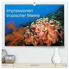 Impressionen tropischer Meere (hochwertiger Premium Wandkalender 2025 DIN A2 quer), Kunstdruck in Hochglanz