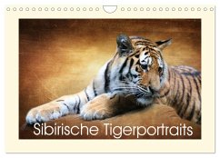 Sibirische Tigerportraits (Wandkalender 2025 DIN A4 quer), CALVENDO Monatskalender