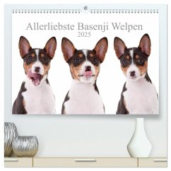 Allerliebste Basenji Welpen 2025 (hochwertiger Premium Wandkalender 2025 DIN A2 quer), Kunstdruck in Hochglanz