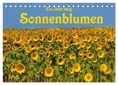 Ein Jahr lang Sonnenblumen (Tischkalender 2025 DIN A5 quer), CALVENDO Monatskalender - Calvendo;van Wyk - www.germanpix.net, Anke