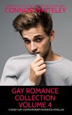 Gay Romance Collection Volume 4: 3 Sweet Gay Contemporary Romance Novellas (The English Gay Contemporary Romance Books, #12.5) (eBook, ePUB)