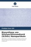 Biosynthese von Silizium/Siliziumdioxid (Si/SiO¿) Nanopartikeln