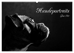 Hundeportraits Fine Art (Wandkalender 2025 DIN A2 quer), CALVENDO Monatskalender