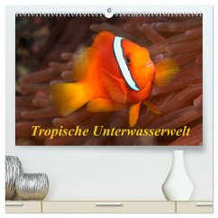 Tropische Unterwasserwelt (hochwertiger Premium Wandkalender 2025 DIN A2 quer), Kunstdruck in Hochglanz