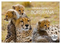 Wildes Leben in Botswana (Wandkalender 2025 DIN A2 quer), CALVENDO Monatskalender - Calvendo;Stanzer, Elisabeth