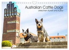 Australian Cattle Dogs zwischen Kunst und Kultur (Wandkalender 2025 DIN A4 quer), CALVENDO Monatskalender