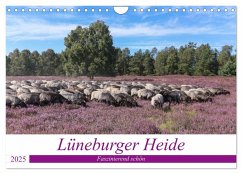 Lüneburger Heide - Faszinierend schön (Wandkalender 2025 DIN A4 quer), CALVENDO Monatskalender