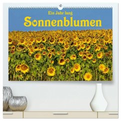 Ein Jahr lang Sonnenblumen (hochwertiger Premium Wandkalender 2025 DIN A2 quer), Kunstdruck in Hochglanz - Calvendo;van Wyk - www.germanpix.net, Anke