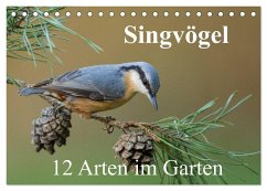 Singvögel - 12 Arten im Garten (Tischkalender 2025 DIN A5 quer), CALVENDO Monatskalender