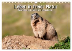 Leben in freier Natur - Wildtiere in natürlicher Umgebung (Wandkalender 2025 DIN A3 quer), CALVENDO Monatskalender - Calvendo;Niederkofler, Georg