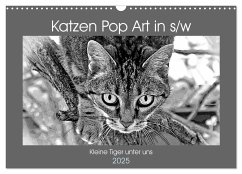 Katzen Pop Art in s/w - Kleine Tiger unter uns (Wandkalender 2025 DIN A3 quer), CALVENDO Monatskalender - Calvendo;Bönner, Marion