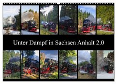 Unter Dampf in Sachsen Anhalt 2.0 (Wandkalender 2025 DIN A2 quer), CALVENDO Monatskalender