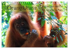 Orang Utans - Sumatras sanfte Waldmenschen (Wandkalender 2025 DIN A4 quer), CALVENDO Monatskalender