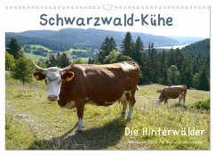 Schwarzwald-Kühe - Die Hinterwälder (Wandkalender 2025 DIN A3 quer), CALVENDO Monatskalender