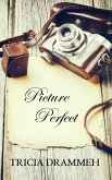 Picture Perfect (eBook, ePUB) Picture Perfect (eBook, ePUB)