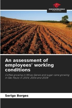 An assessment of employees' working conditions - Borges, Serigo