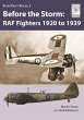 Flight Craft Special 3: RAF Fighters... - Bild 1