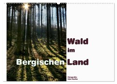 Wald im Bergischen Land 2025 (Wandkalender 2025 DIN A2 quer), CALVENDO Monatskalender - Calvendo;Haafke, Udo