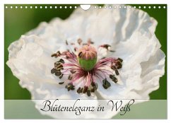 Blüteneleganz in Weiß (Wandkalender 2025 DIN A4 quer), CALVENDO Monatskalender - Calvendo;Kruse, Gisela