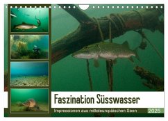 Faszination Süsswasser (Wandkalender 2025 DIN A4 quer), CALVENDO Monatskalender