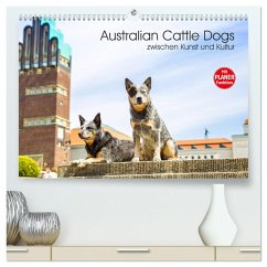 Australian Cattle Dogs zwischen Kunst und Kultur (hochwertiger Premium Wandkalender 2025 DIN A2 quer), Kunstdruck in Hochglanz