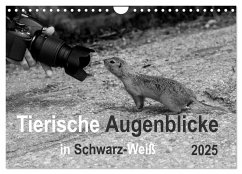 Tierische Augenblicke in Schwarz-Weiß (Wandkalender 2025 DIN A4 quer), CALVENDO Monatskalender - Calvendo;Drews, Marianne